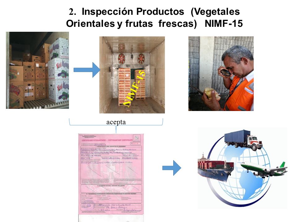 2. Inspección Productos (Vegetales Orientales y frutas frescas) NIMF-15