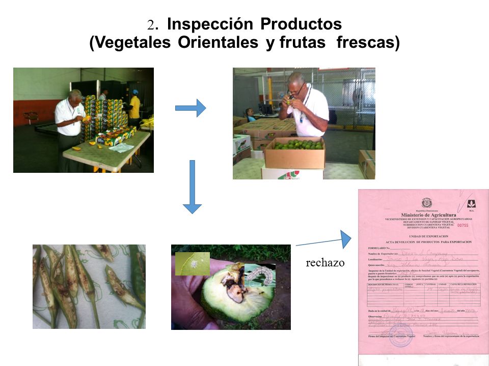 2. Inspección Productos (Vegetales Orientales y frutas frescas)