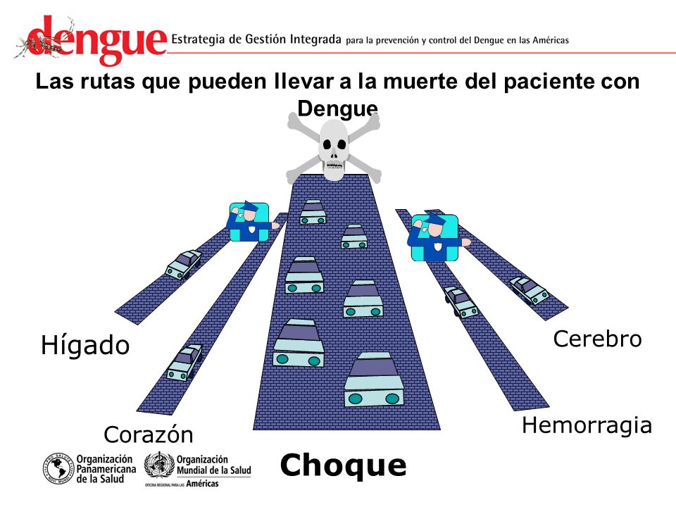 Las rutas que pueden llevar a la muerte del paciente con Dengue