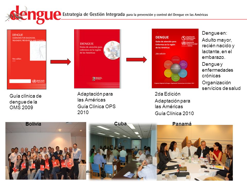 Dengue en: Adulto mayor, recién nacido y lactante, en el embarazo. Dengue y enfermedades crónicas.