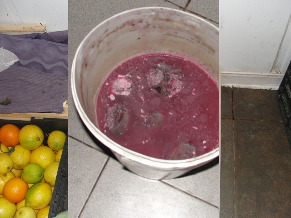 Elab: 5/01/2014 Vto: 1/02/2014