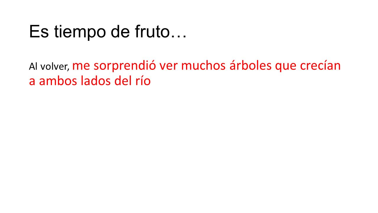 Es tiempo de fruto… Al volver, me sorprendió ver muchos árboles que crecían a ambos lados del río