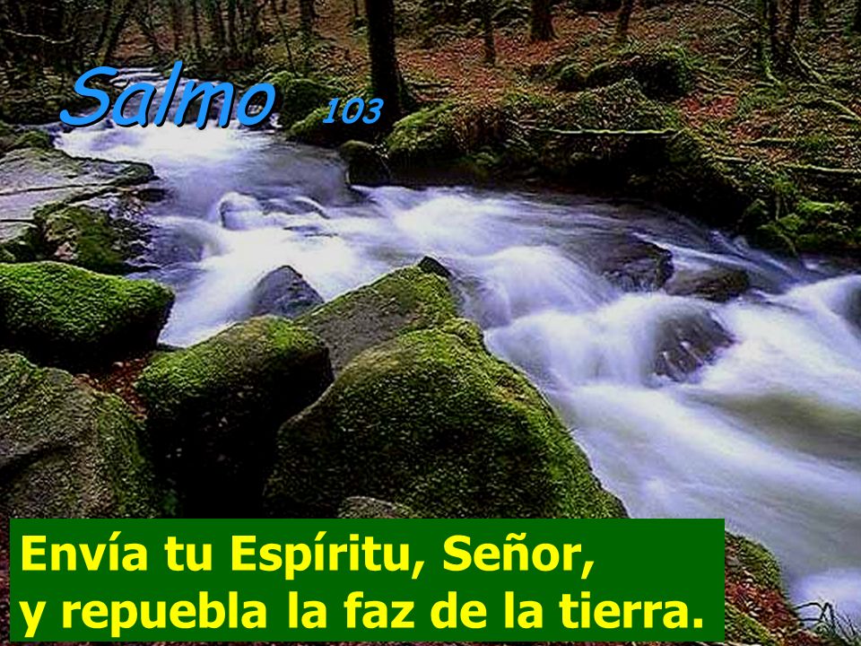 Salmo 103 Envía tu Espíritu, Señor, y repuebla la faz de la tierra.