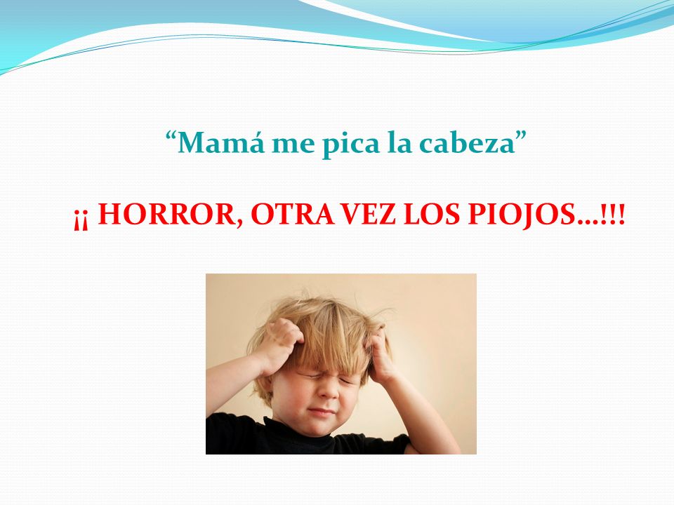 Mamá me pica la cabeza ¡¡ HORROR, OTRA VEZ LOS PIOJOS…!!!