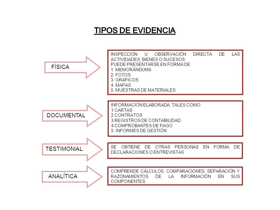 TIPOS DE EVIDENCIA TESTIMONIAL FÍSICA