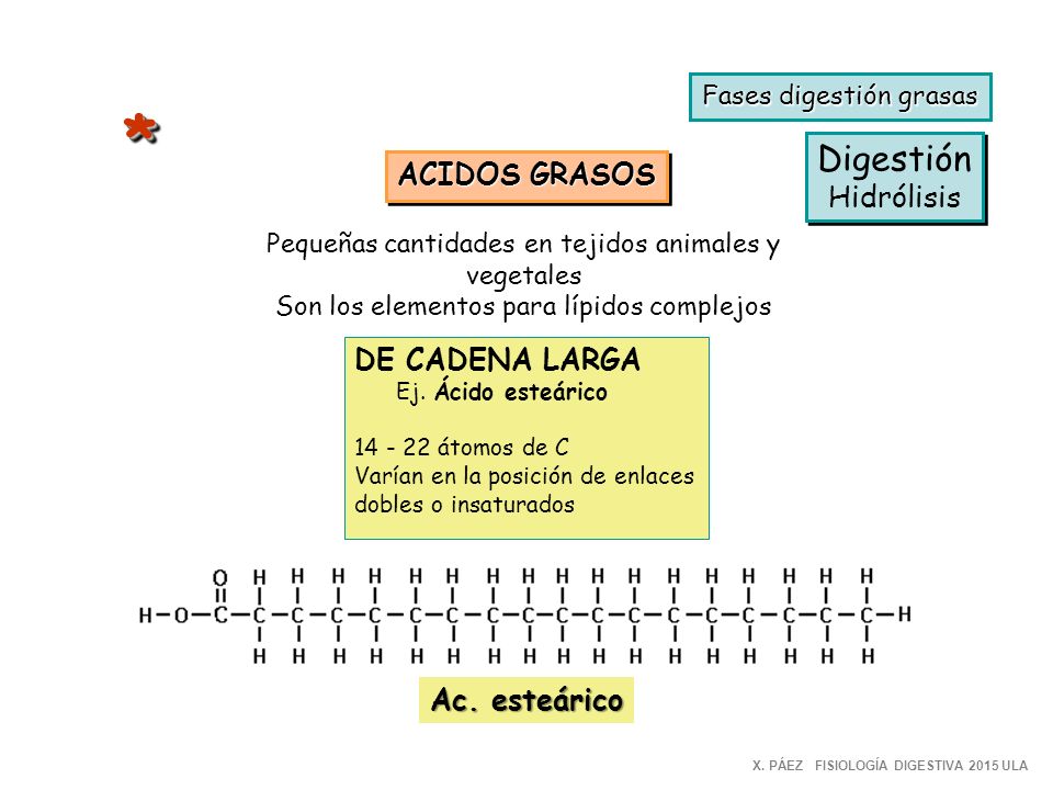 * Digestión ACIDOS GRASOS Hidrólisis DE CADENA LARGA Ac. esteárico