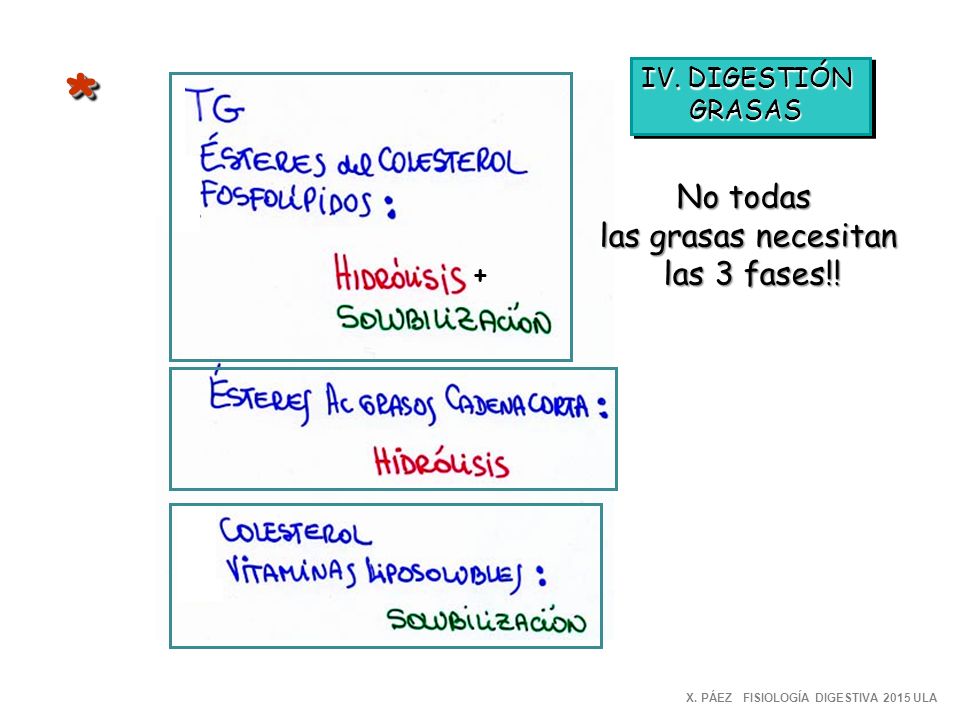 * No todas las grasas necesitan las 3 fases!! IV. DIGESTIÓN GRASAS +