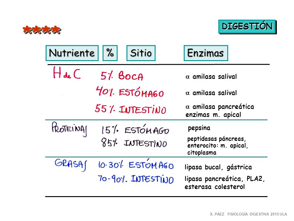 * * ** Nutriente % Sitio Enzimas DIGESTIÓN a amilasa salival