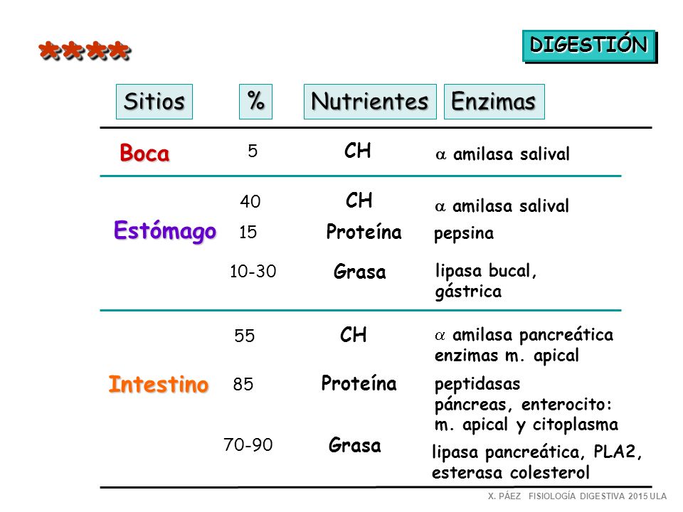 * * ** Sitios % Nutrientes Enzimas Boca Estómago Intestino DIGESTIÓN