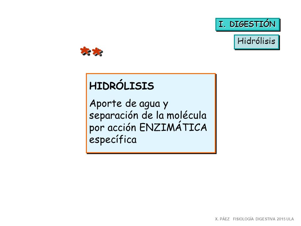 * * HIDRÓLISIS Aporte de agua y separación de la molécula