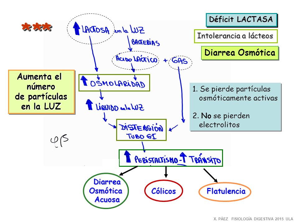 * * * Diarrea Osmótica Aumenta el número de partículas en la LUZ
