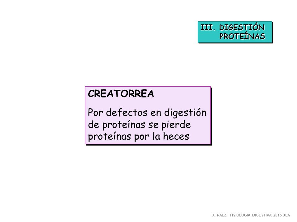 III. DIGESTIÓN PROTEÍNAS. CREATORREA. Por defectos en digestión de proteínas se pierde proteínas por la heces.
