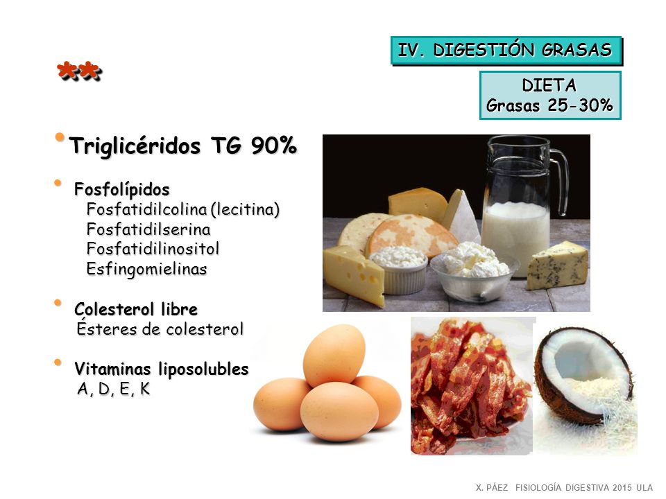** Triglicéridos TG 90% IV. DIGESTIÓN GRASAS DIETA Grasas 25-30%