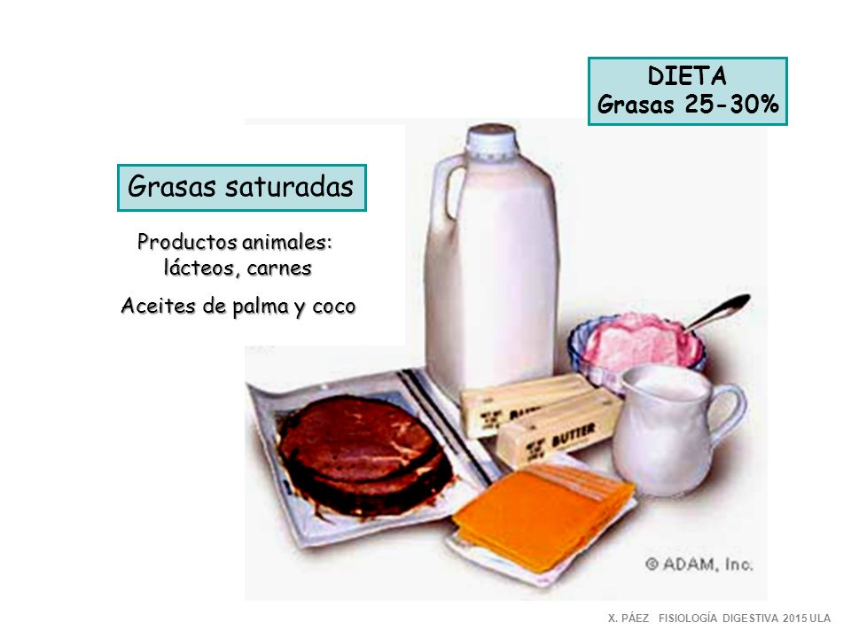 Grasas saturadas DIETA Grasas 25-30% Productos animales: