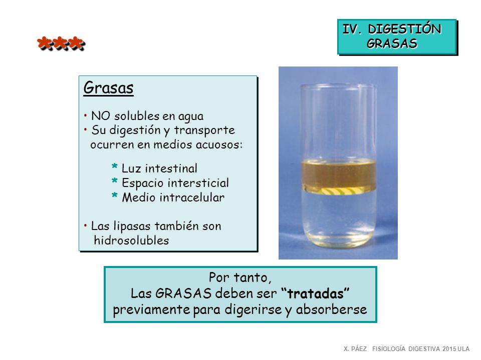 *** Grasas Por tanto, Las GRASAS deben ser tratadas