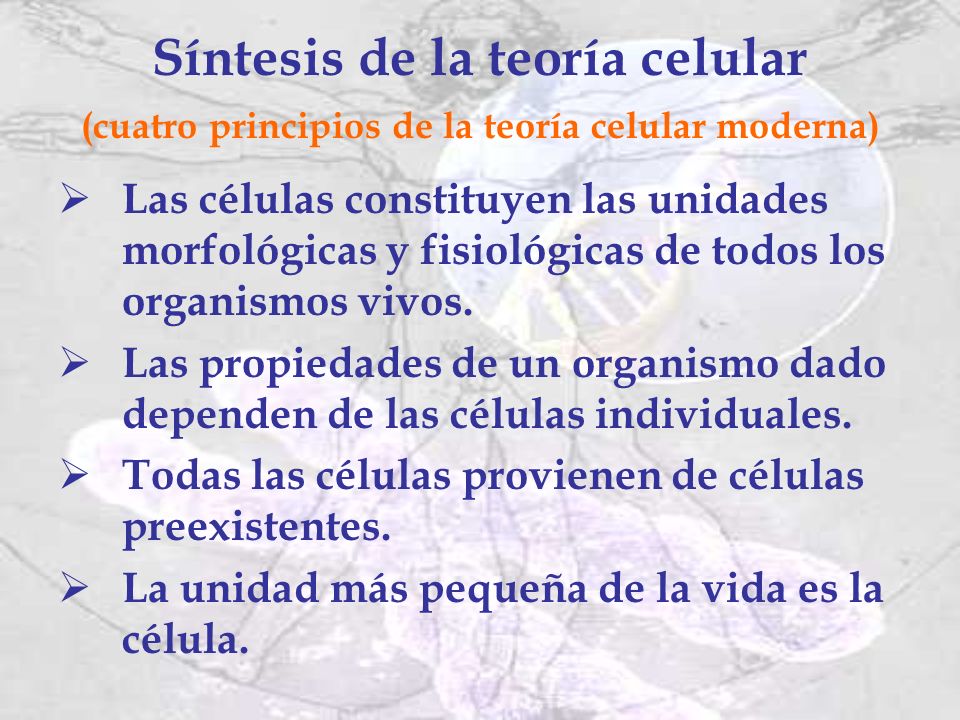 Síntesis de la teoría celular (cuatro principios de la teoría celular moderna)