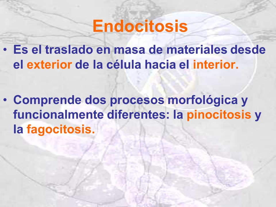 Endocitosis Es el traslado en masa de materiales desde el exterior de la célula hacia el interior.
