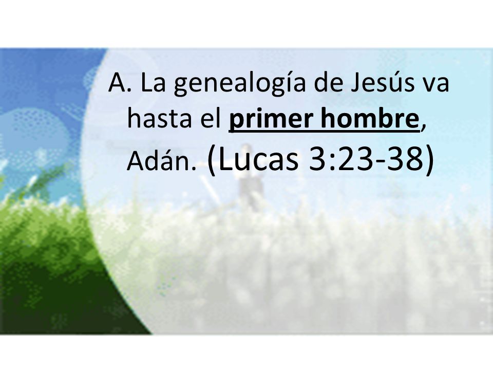 A. La genealogía de Jesús va hasta el primer hombre, Adán