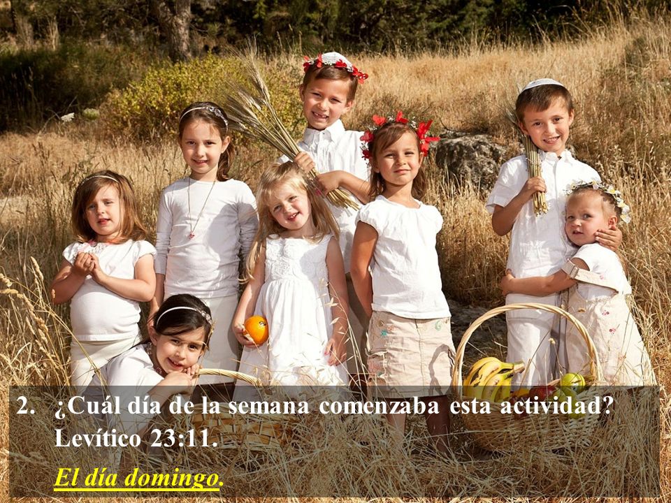 ¿Cuál día de la semana comenzaba esta actividad Levítico 23:11.