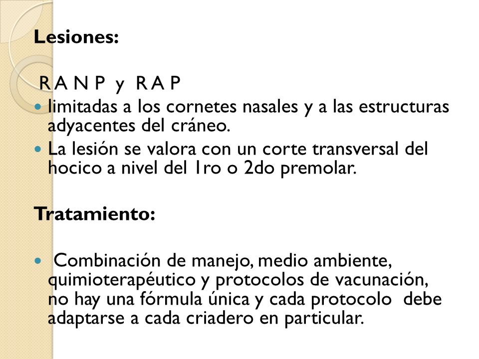 Lesiones: R A N P y R A P. limitadas a los cornetes nasales y a las estructuras adyacentes del cráneo.