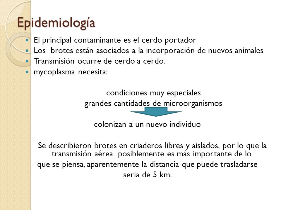 Epidemiología El principal contaminante es el cerdo portador