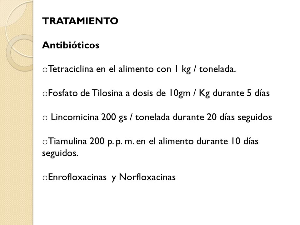 Tratamiento Antibióticos. Tetraciclina en el alimento con 1 kg / tonelada. Fosfato de Tilosina a dosis de 10gm / Kg durante 5 días.