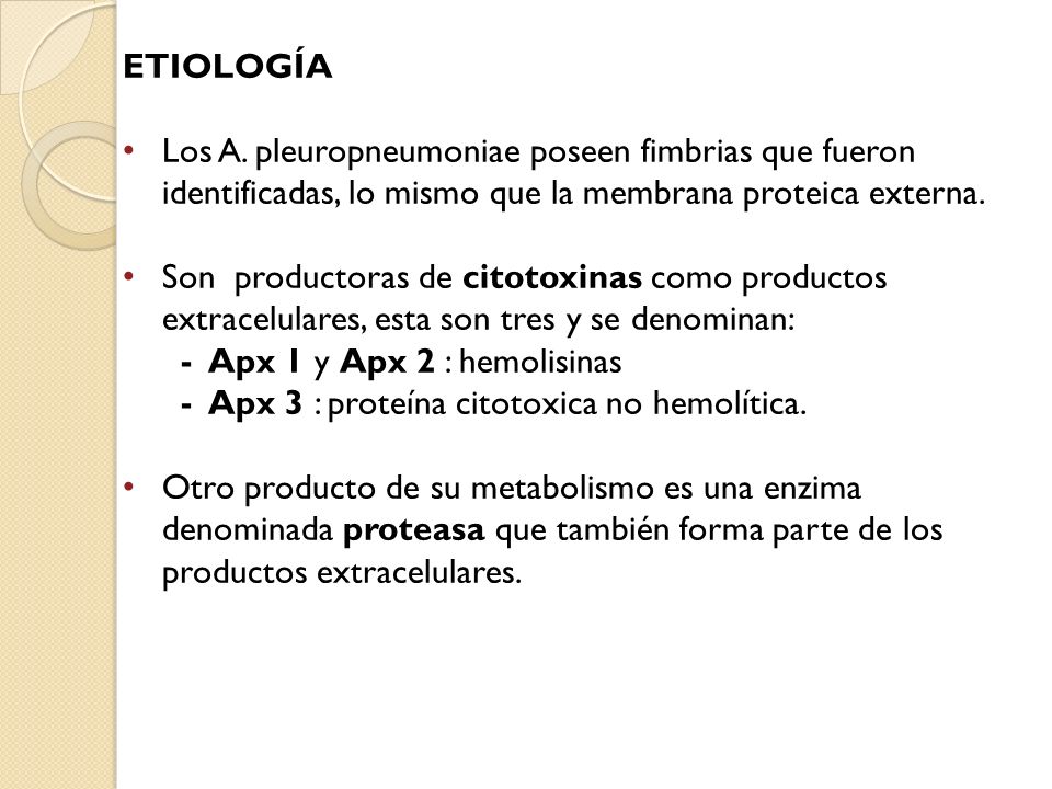 Etiología Los A. pleuropneumoniae poseen fimbrias que fueron identificadas, lo mismo que la membrana proteica externa.