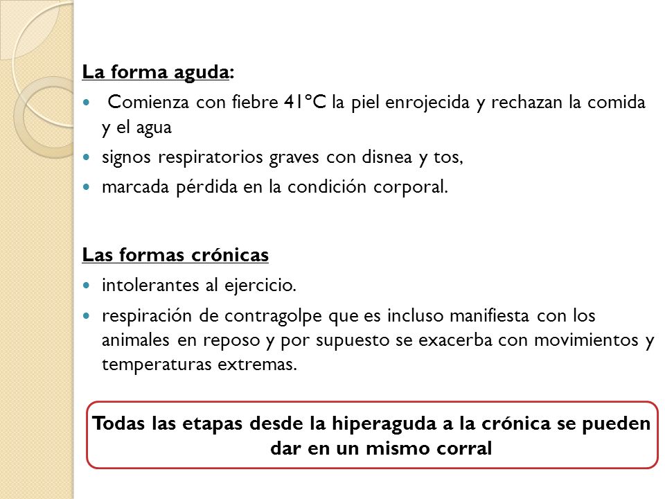 La forma aguda: Comienza con fiebre 41ºC la piel enrojecida y rechazan la comida y el agua. signos respiratorios graves con disnea y tos,