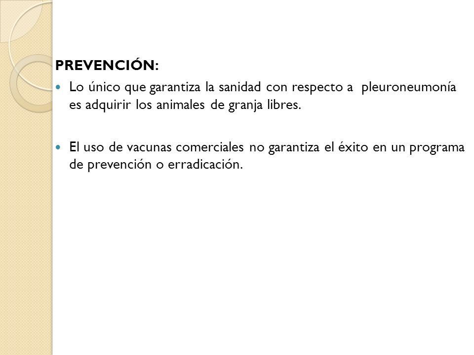 Prevención: Lo único que garantiza la sanidad con respecto a pleuroneumonía es adquirir los animales de granja libres.