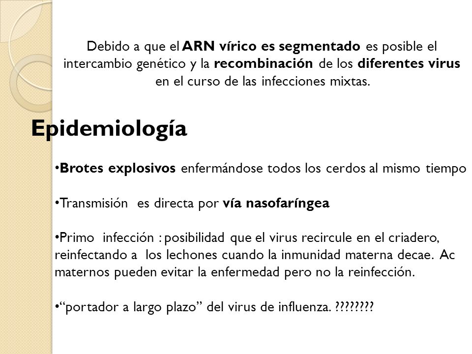 Debido a que el ARN vírico es segmentado es posible el intercambio genético y la recombinación de los diferentes virus en el curso de las infecciones mixtas.