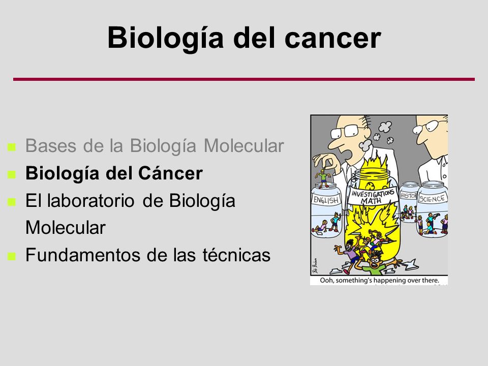 Biología del cancer Bases de la Biología Molecular Biología del Cáncer