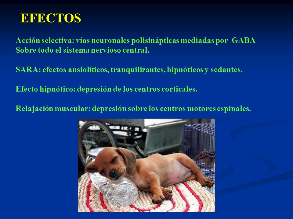 EFECTOS Acción selectiva: vías neuronales polisinápticas mediadas por GABA Sobre todo el sistema nervioso central.