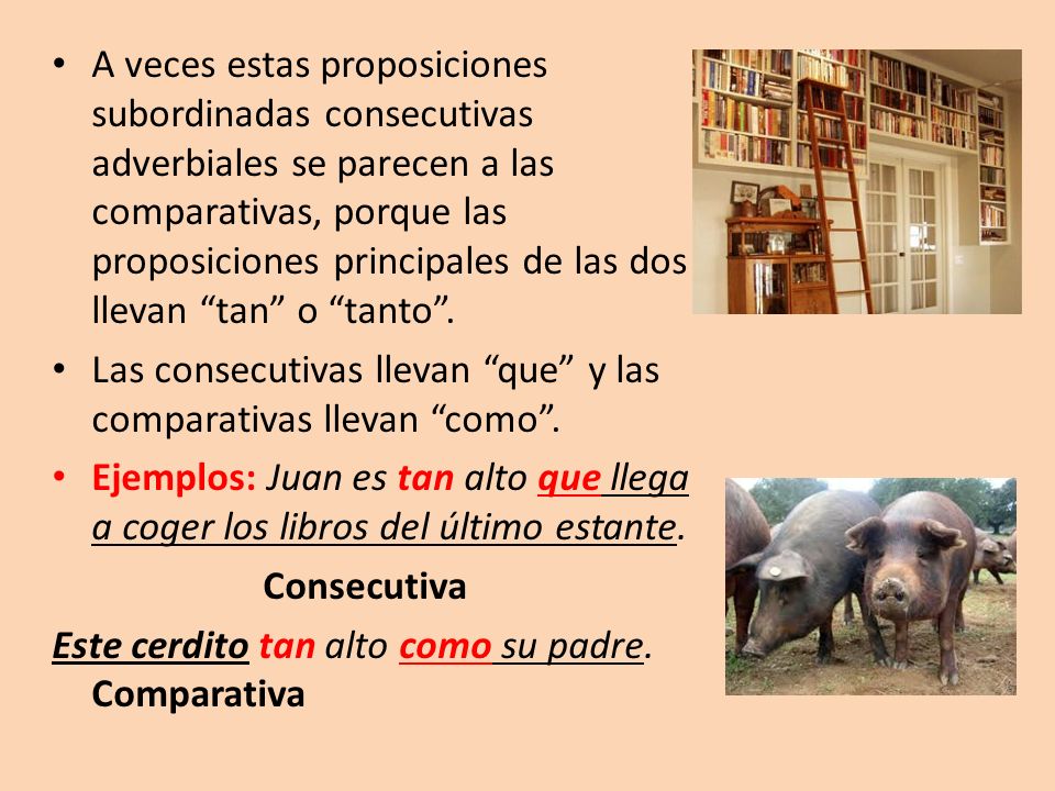 A veces estas proposiciones subordinadas consecutivas adverbiales se parecen a las comparativas, porque las proposiciones principales de las dos llevan tan o tanto .