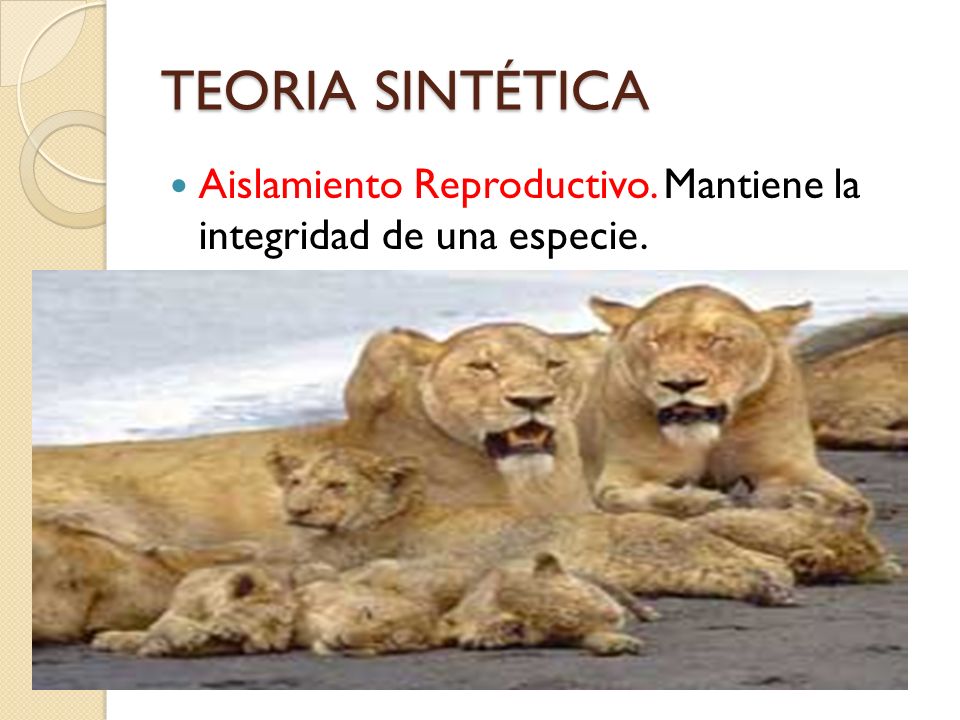 TEORIA SINTÉTICA Aislamiento Reproductivo. Mantiene la integridad de una especie.