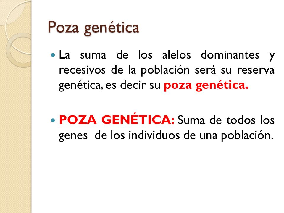 Poza genética La suma de los alelos dominantes y recesivos de la población será su reserva genética, es decir su poza genética.
