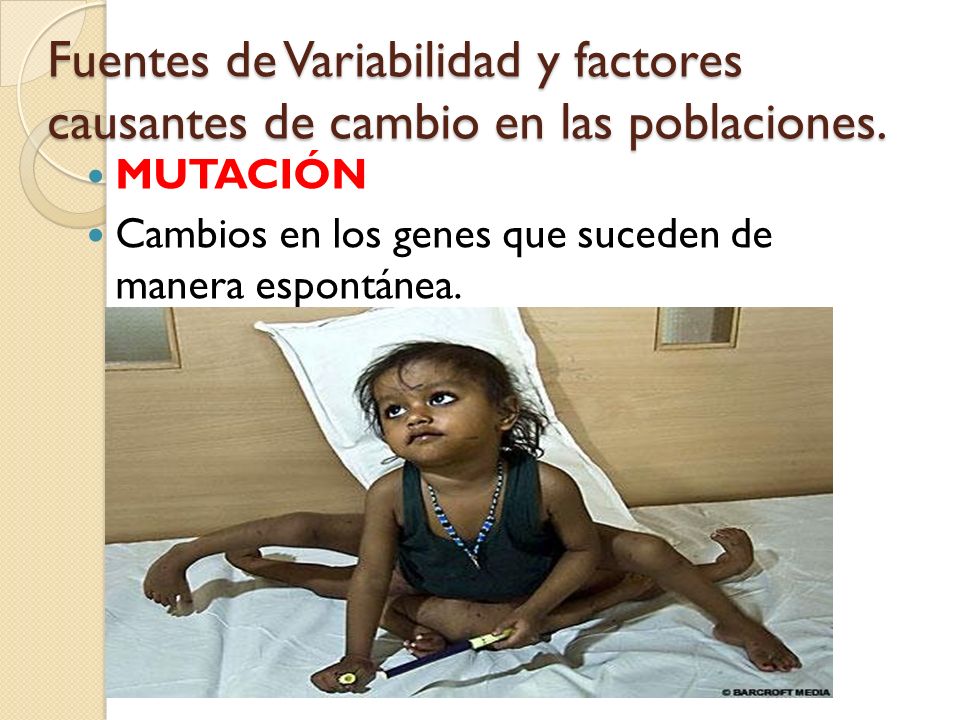Fuentes de Variabilidad y factores causantes de cambio en las poblaciones.