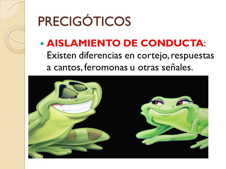PRECIGÓTICOS AISLAMIENTO DE CONDUCTA: Existen diferencias en cortejo, respuestas a cantos, feromonas u otras señales.