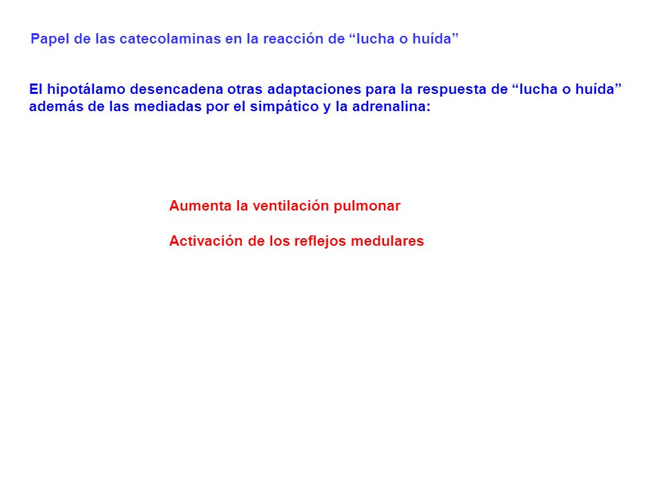 Papel de las catecolaminas en la reacción de lucha o huída