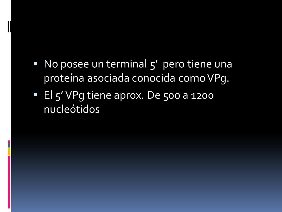 No posee un terminal 5’ pero tiene una proteína asociada conocida como VPg.