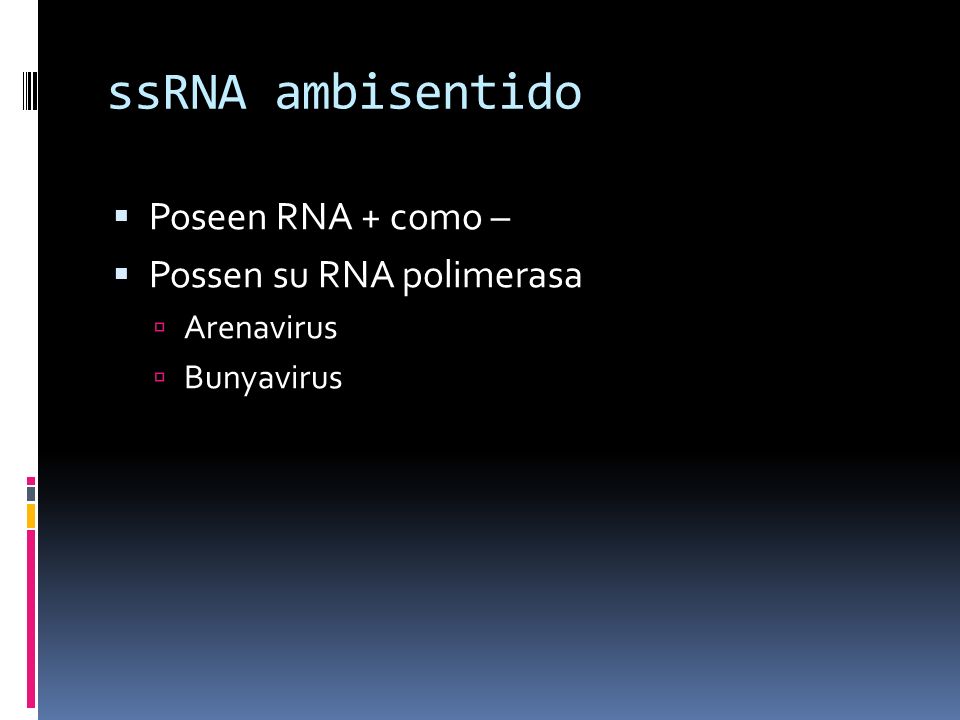 ssRNA ambisentido Poseen RNA + como – Possen su RNA polimerasa