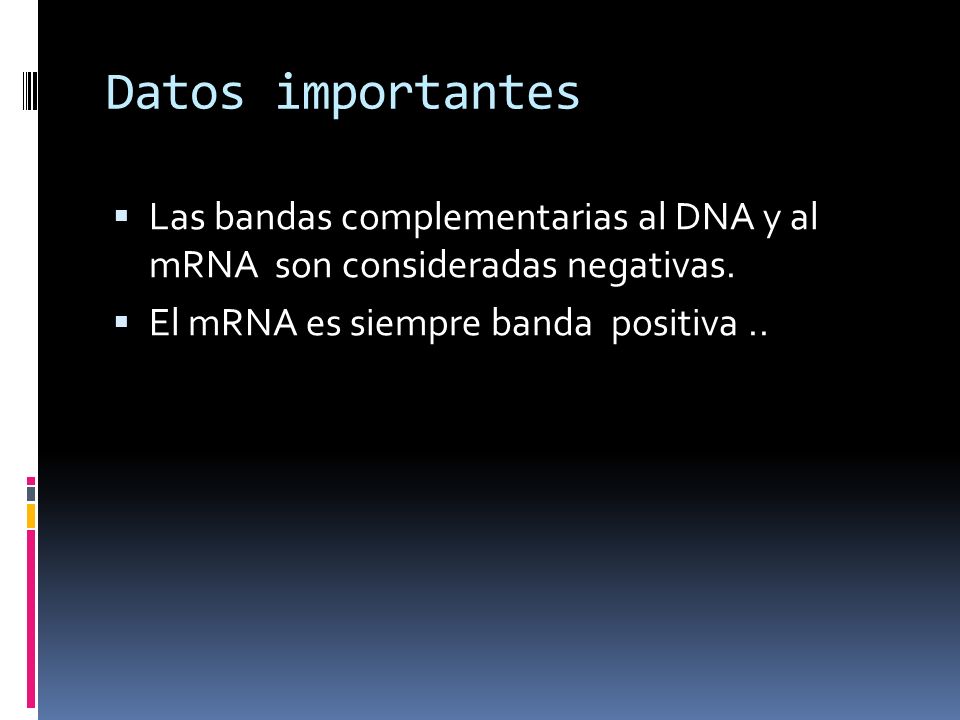 Datos importantes Las bandas complementarias al DNA y al mRNA son consideradas negativas.