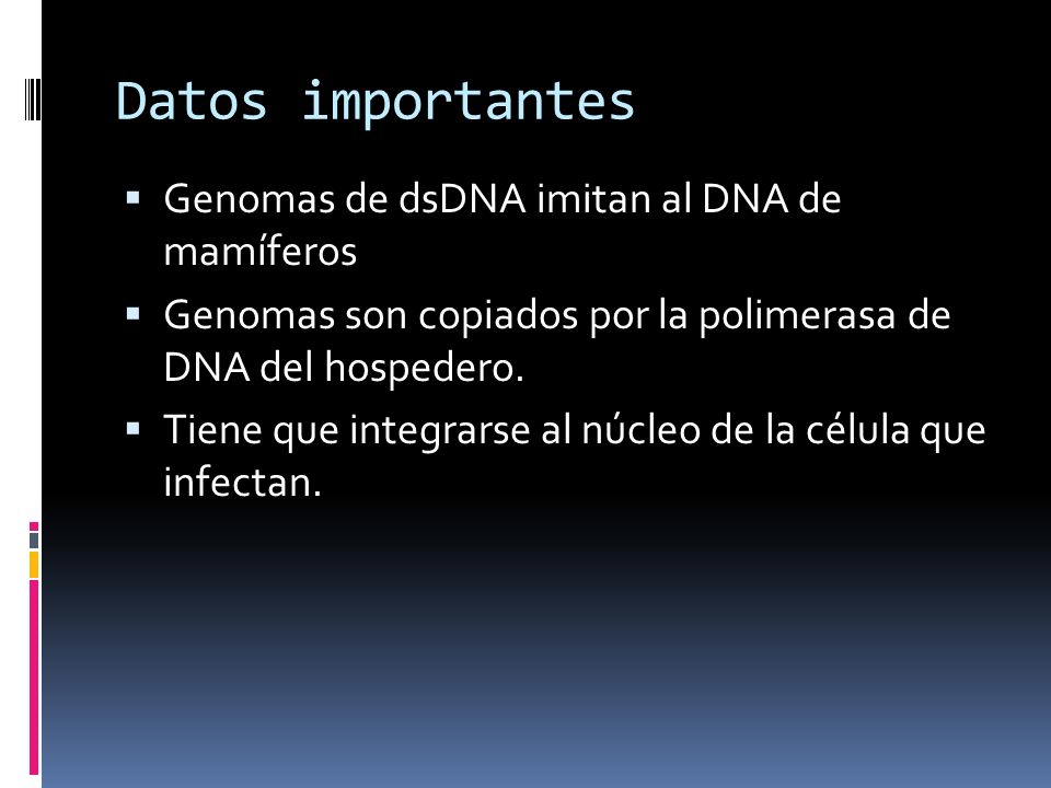 Datos importantes Genomas de dsDNA imitan al DNA de mamíferos