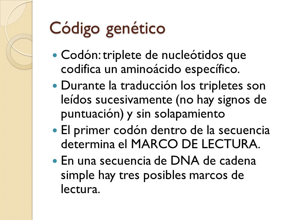 Código genético Codón: triplete de nucleótidos que codifica un aminoácido específico.