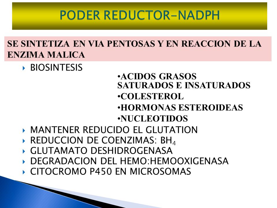 PODER REDUCTOR-NADPH SE SINTETIZA EN VIA PENTOSAS Y EN REACCION DE LA ENZIMA MALICA. BIOSINTESIS. MANTENER REDUCIDO EL GLUTATION.