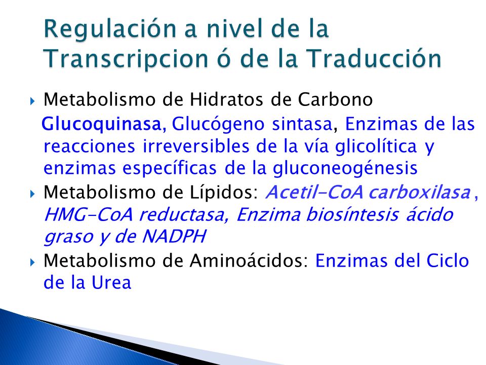 Regulación a nivel de la Transcripcion ó de la Traducción