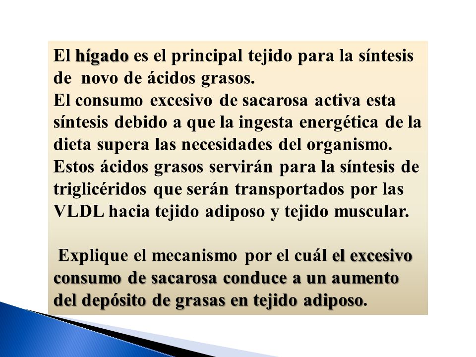 El hígado es el principal tejido para la síntesis de novo de ácidos grasos.
