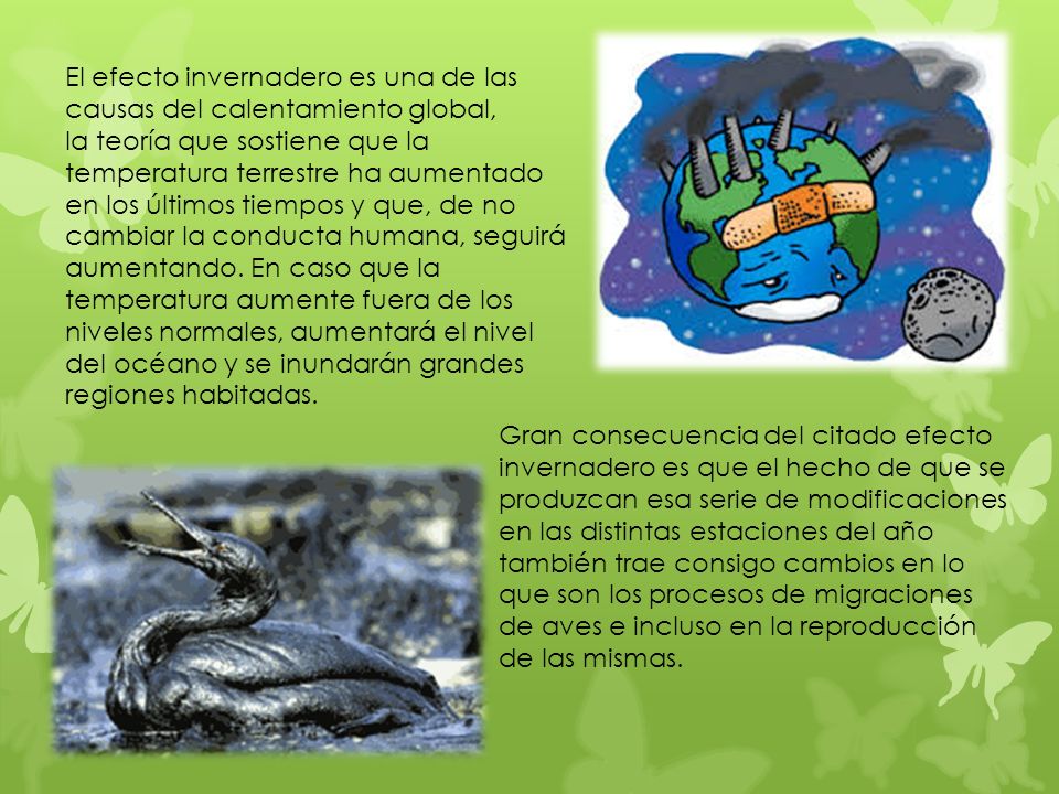 El efecto invernadero es una de las causas del calentamiento global, la teoría que sostiene que la temperatura terrestre ha aumentado en los últimos tiempos y que, de no cambiar la conducta humana, seguirá aumentando. En caso que la temperatura aumente fuera de los niveles normales, aumentará el nivel del océano y se inundarán grandes regiones habitadas.