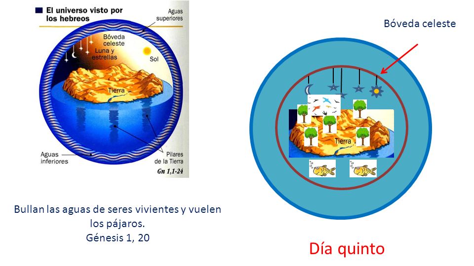 Bullan las aguas de seres vivientes y vuelen los pájaros.