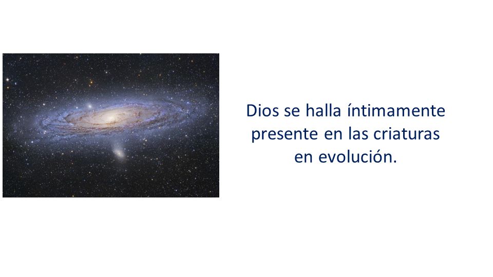 Dios se halla íntimamente presente en las criaturas en evolución.