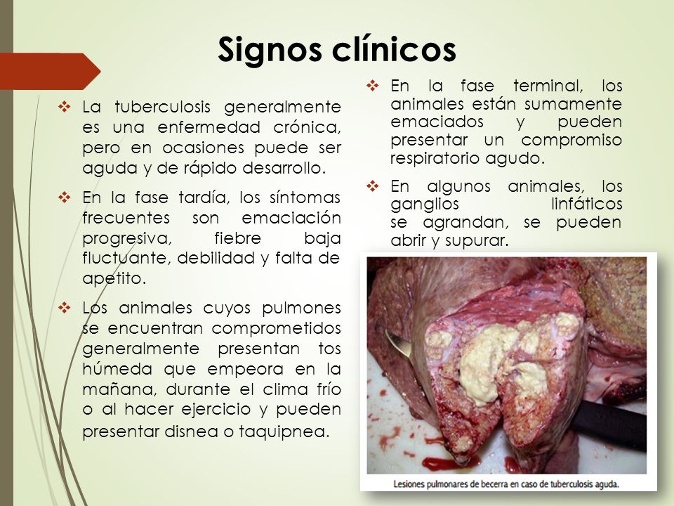 Signos clínicos En la fase terminal, los animales están sumamente emaciados y pueden presentar un compromiso respiratorio agudo.